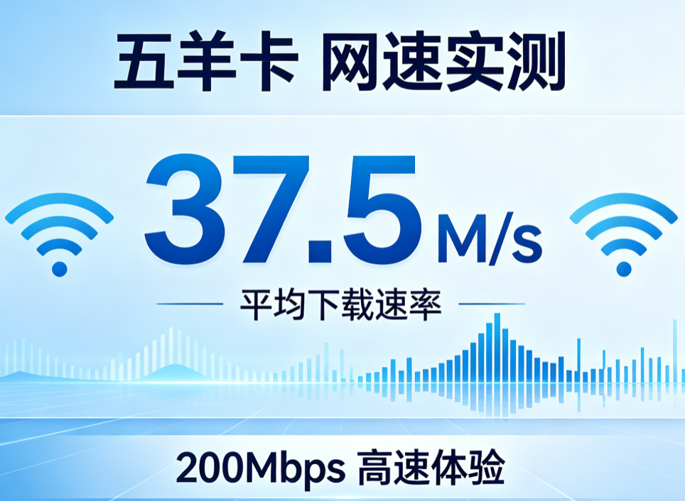 五羊卡网速实测图